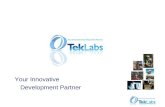 TekLabs services presentation