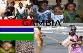 Gambia sinc