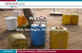 20100608 Wash Cost Dgis V4 1