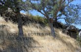 Foothill buttes field assignment