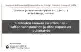 Juankosken kanaali, Kari Avellan, Konsultointi Kareg Oy