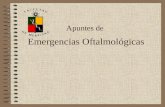 105 - Urgencias oftalmologicas