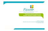 FEHAP Introduction au secteur médicosocial