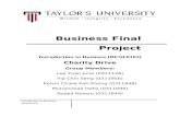 Introduction to business   final project (final report)