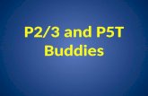 P23 and p5 t buddies