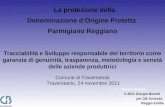 La protezione della Denominazione d'Origine Protetta Parmigiano Reggiano