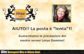 DDive2011 - Performance on Lotus Domino