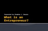 What is an entrepreneur