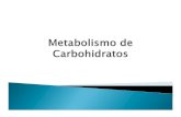 Metabolismo de Carbohidratos