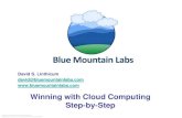 Winning With Cloud Computing 03 09 Linthicum Updated
