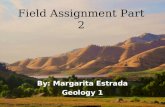 Field assignment part 2