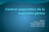 Epigenética 1.2