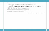 Diagnostico del Distrito de Desarrollo Rural, R rio colorado, mexicali, b.c. 2012