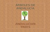 Arboles de andalucia_luisa