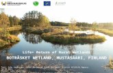 Boträsket wetland construction Mustasaari, Finland