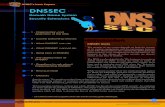 DNSSEC : Domain Name Sytem Security Extensions