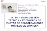 Gestión técnico y económica de flotas de comunicaciones móviles de empresa