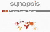 Synapsis Ynnova