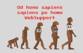 Od Homo sapiens sapiens po Homo websupport