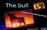 The Bull   Mar Pajon