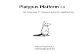 Platypus Platform 3.0 presentation