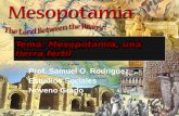 Mesopotamia: una tierra fértil