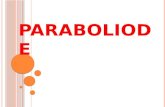 Paraboloide 5to Semillas de Fè