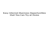 Internet Business Opportunities