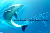 Know the Adventurous Deep Sea Charters Hilton Head SC: Heavy Hitter Charters