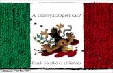 éSzak mexikó és a mexikói bűnözés