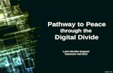 Pathway to Peace through the Digital Divide