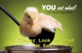 Take a closer look at your food, Yum Yum Yum-Veganism