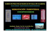 HIDRATACION PARENTERAL. CONCEPTOS BASICOS. Prof. Dr. Luis del Rio Diez