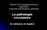 Thème vi pathologie circulatoire