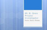 Mr. B. Ones, Private Investigator