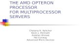The Amd Opteron Processor