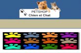 Start up Pet shop chien et chat