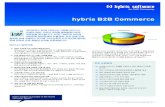 hybris B2B Commerce Data Sheet (koKR)