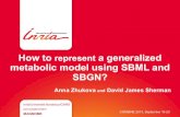 How to represent a generalized metabolic model using SBML and SBGN?
