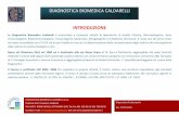 Catalogo Diagnostica Caldarelli