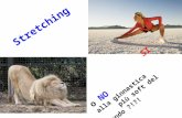 Stretching - Si o No alla ginnastica più soft del mondo?
