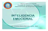 3  Inteligencia Emocional