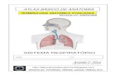 11128603 apostila-anatomia-sistema-respiratorio (1)
