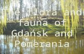 The flora and fauna of gdansk and pomerania