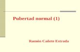 Pubertad normal y patologica