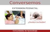 Extensión posnatal: ¿Flexible o no flexible?