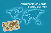 INSTRUMENTS DE CORDA D'ARREU DEL M“N // 2014-2015