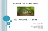 El mosquit Tigre.