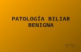 Patología biliar benigna