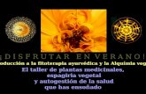 Estupendo Taller Plantas Medicinales, Espagiria Y Ayurveda